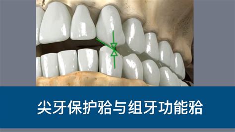 牙喏|牙喏的解释